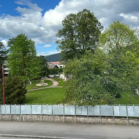 La Maison Swan Holiday home Gerardmer